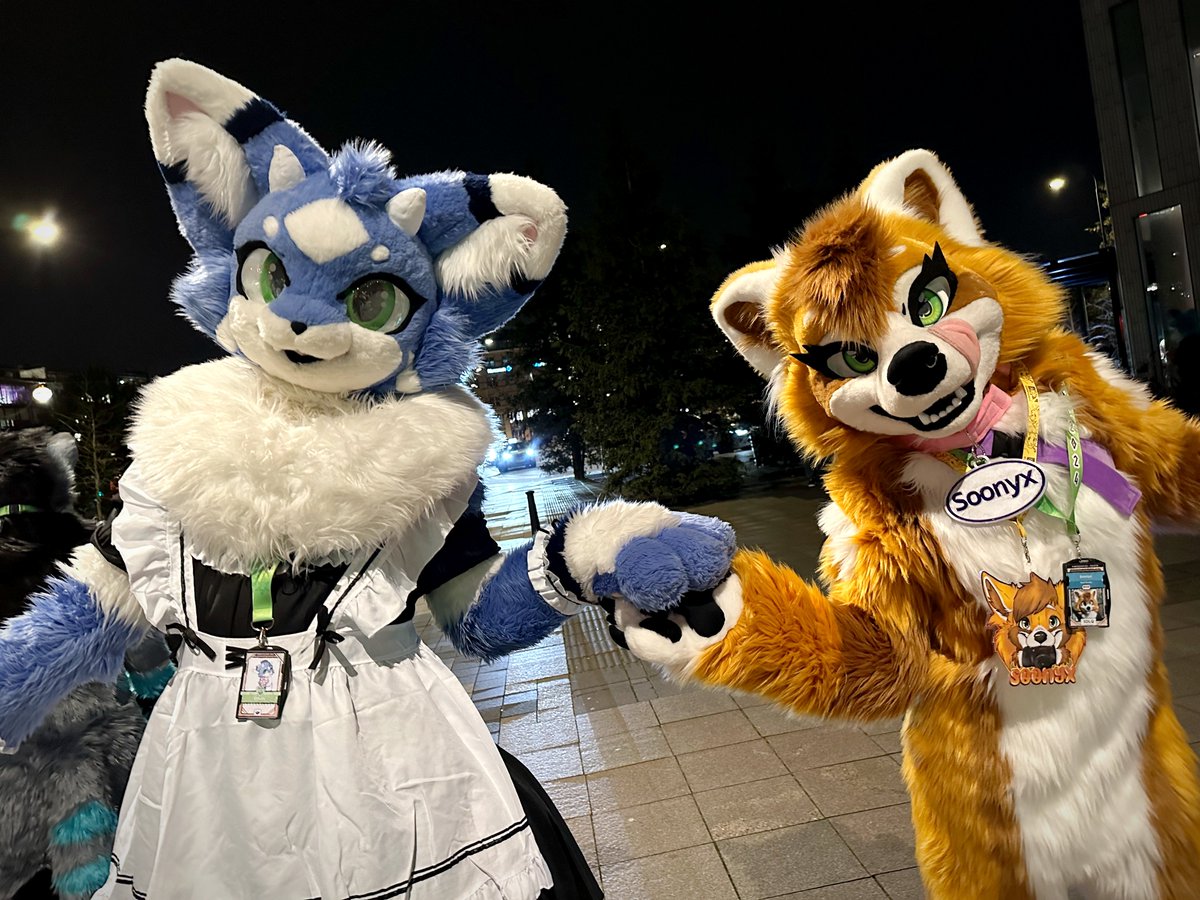 Gurl it's #FursuitFriday we goin out to partyyy!! :3 xP 🔴🐼 @SoonyxWah 📸 @MaverickTheHusk #furry #kemono