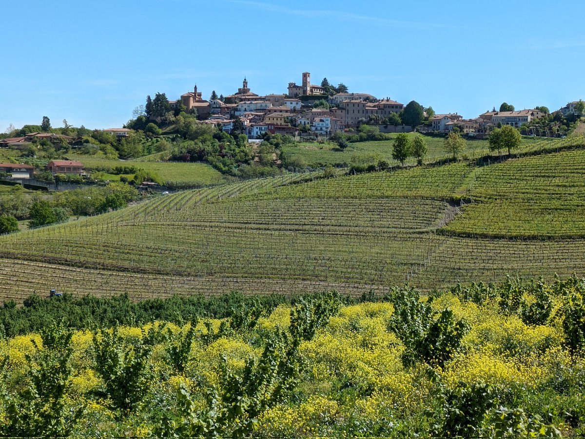 Hiking trip through Italy's Piemonte wine region has been spectacular, but more so because our group chose Italy's homegrown active travel specialist Tourissimo, known for #hiking and #biking with #wine &amp; #food focus. Awesome company ! <a href="/tourissimoitaly/">Tourissimo</a> #Travel #italy #Foodie