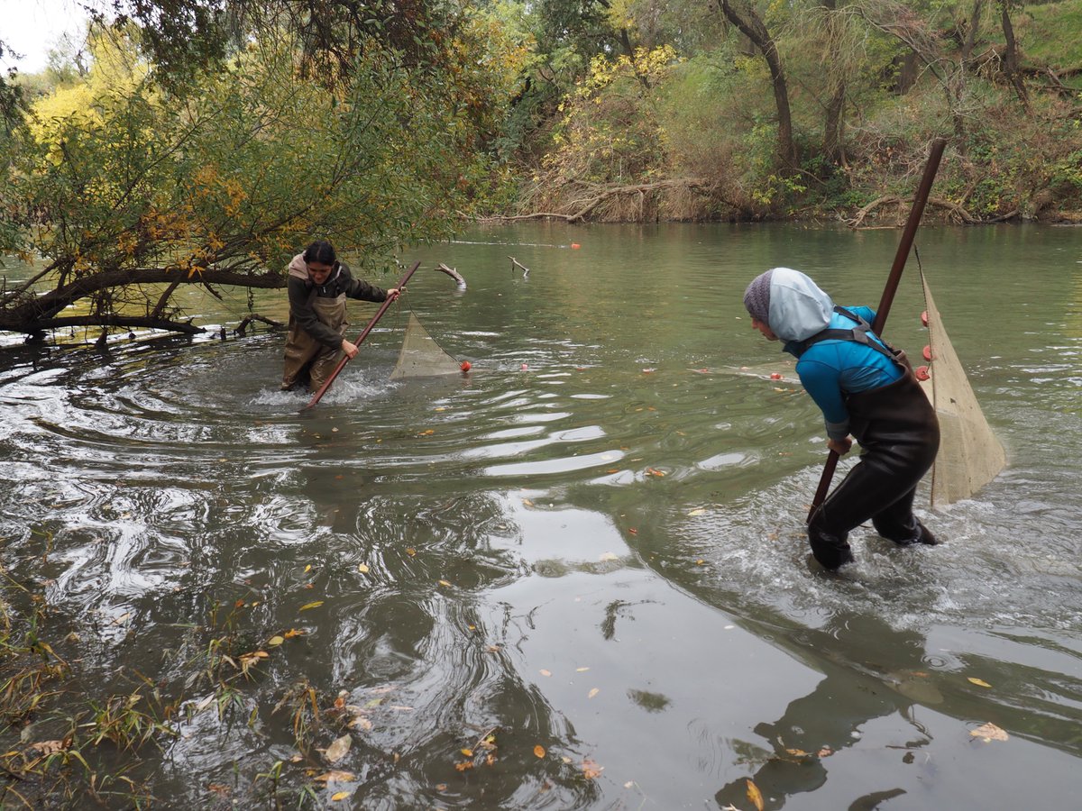 UCDavisWater tweet picture