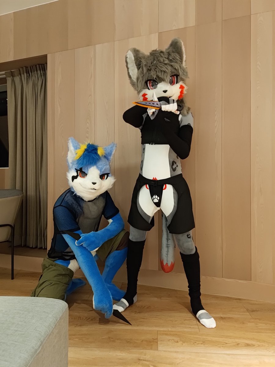 KOTAsnowleopard's tweet photo. 深夜時刻!忍者們要出動囉!!
深夜のミッション
攝影: @baterfurry https://t.co/By5D2GV97y