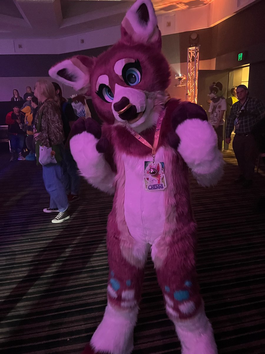 hthom32's tweet photo. Furdu 2024 photos part 57

@TillyWolf 

#FurDU2024 #FurDU #furry #fursuiter https://t.co/2A9nW7GtqN