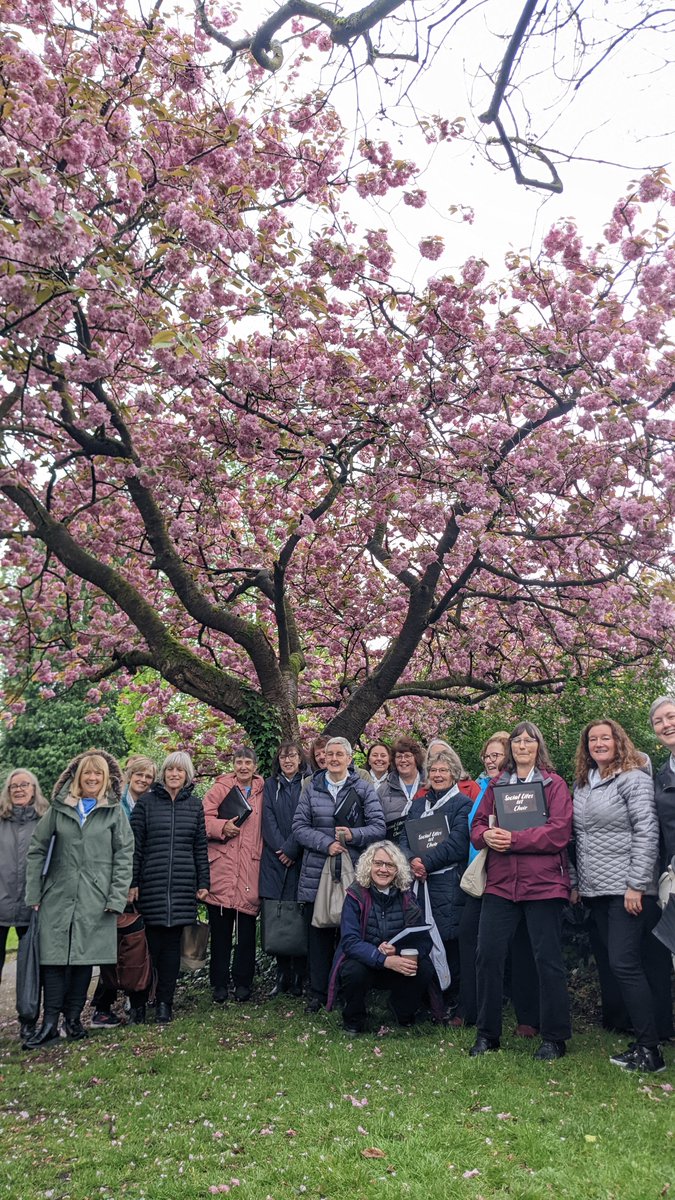 🌸 Thank you to all our fabulous guests and amazing volunteers who helped make our #Bloomtown festival truly unforgettable, let's do it all again next year! 🌸 #CherryBlossoms #ThankYou #Sakura #Hanami #Choir #BlossomWatch