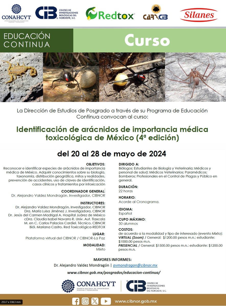 🎊Ya está abierta la convocatoria para el curso 'Identificación de arácnidos de importancia médica toxicológica de México (4ta edición)' 🕷🕸 del 20 al 28 de mayo 2024
Mayores informes: cibnor.gob.mx/posqrados/posg…
#arácnidos
#EducaciónContinua