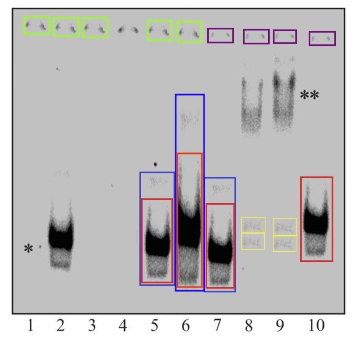 MicrobiomDigest's tweet photo. In this first installment, @tandfonline's journal @CancerBiologyTx and @PennMedicine were notified November 2020, but no action was taken.
The vice dean reprimanded me for not providing context.
He told me these could just be errors. π
https://t.co/2P7sEO8Vzg
#IntegrityInertia https://t.co/H9TTQPV2BZ
