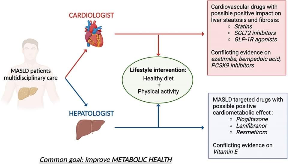 🔴 Metabolic dysfunction-associated steatotic liver disease: An opportunity for collaboration between cardiology and hepatology #openaccess #2024Review @ATHjournal atherosclerosis-journal.com/article/S0021-… #CardioEd #Cardiology #CardioTwitter #cardiovascular #FOAMed #MedTwitter #medtwitter