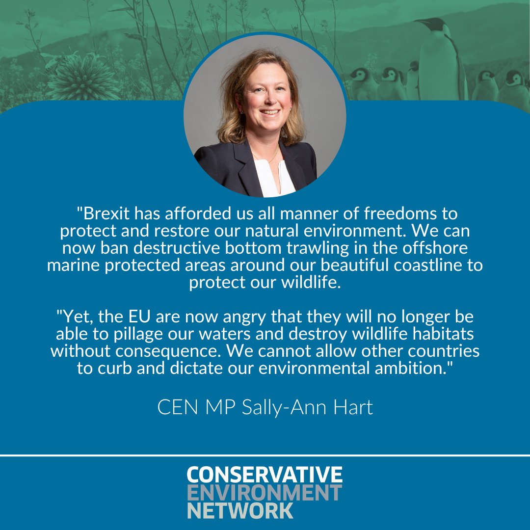 🌍 CEN MP @SallyAnn1066 says that the UK shouldn't allow 'other countries to curb and dictate our environmental ambition.'