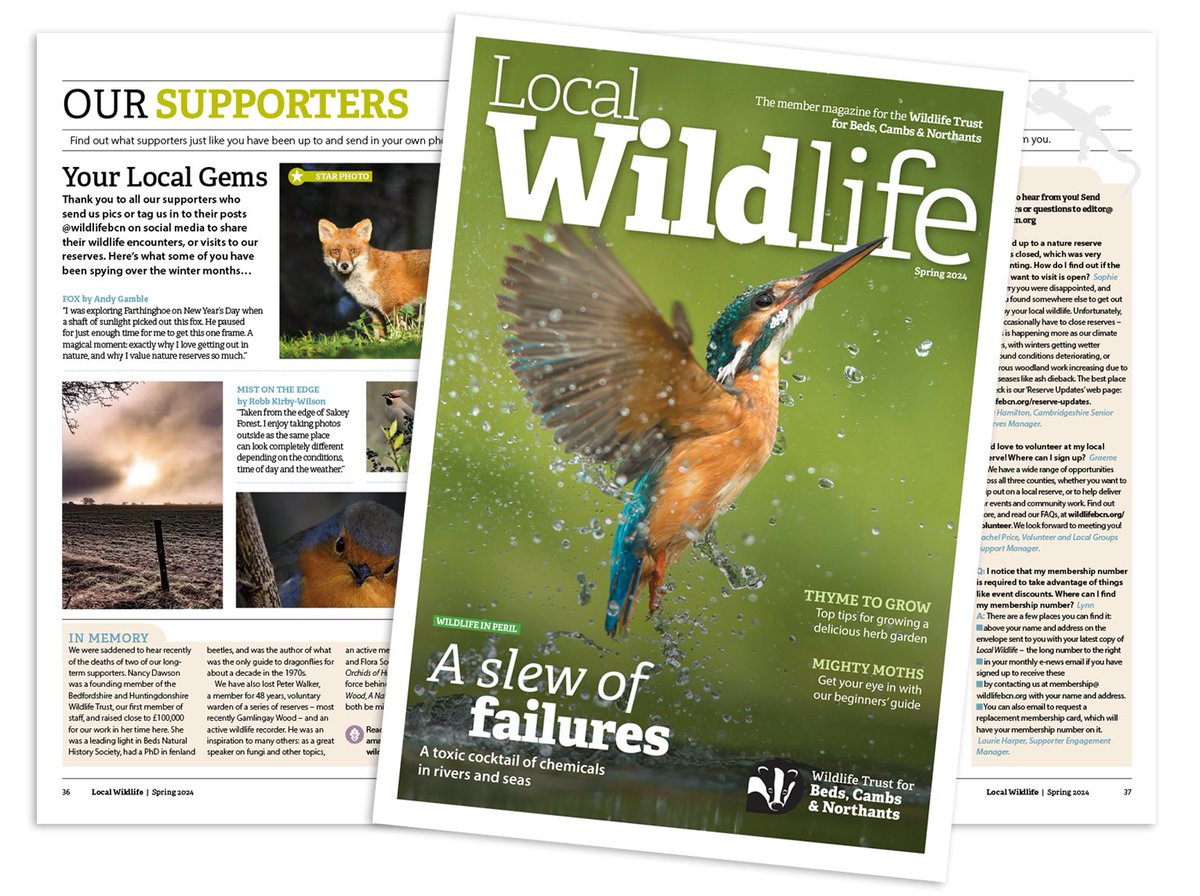 Calling all members! Send us your photos, letters or questions for the summer issue of your members' mag Local Wildlife. Deadline 7 May we'll be in touch shortly after that if your submission has been chosen. We look hearing from you: wildlifebcn.org/local-wildlife…