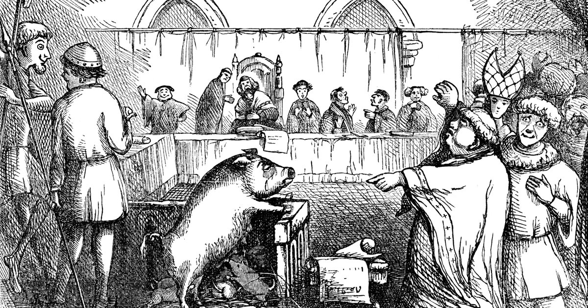 #podcast 🎧 | À l'époque médiévale, certains animaux pouvaient être jugés, comme en 1386 avec le jugement d'une truie. ⚖ Comment le statut juridique des animaux a-t-il évolué depuis ? Éléments de réponse avec Sophie Poirey et Amandine Cayol 👇 phenix.fm/podcast/amandi…