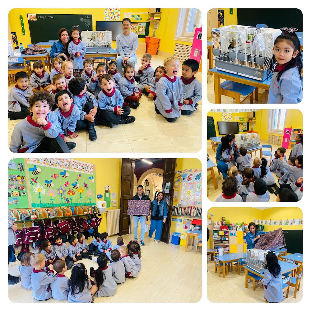Hoy en la clase de I3A hemos tenido una visita muy especial, los papás de una alumna nos han presentado a sus dos pájaros agapornis, Chuchi y Mimo, hemos aprendido muchas cosas sobre su hábitat y hemos disfrutado de un rato junto a ellos observándolos y escuchando su canto 🦜