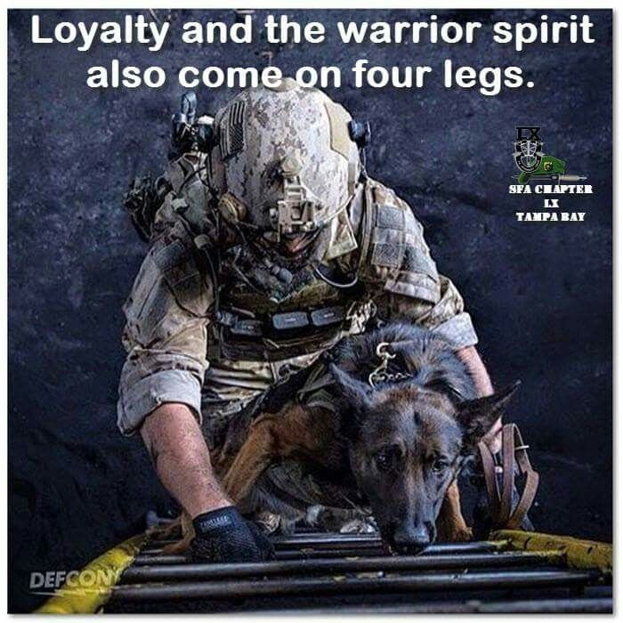 🇺🇸 RED Friday 🐕
#Military 🦅 #WorkingDogs ♥️