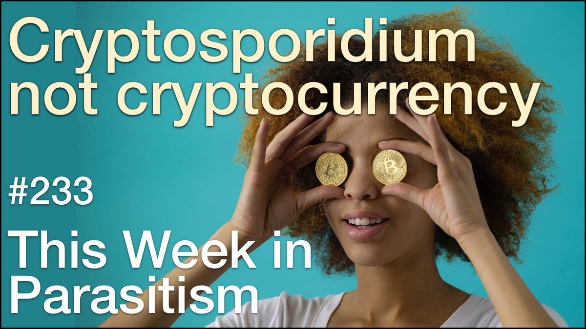 TWiP 233: Cryptosporidium not cryptocurrency 🧻 TWiP solves the case of the physician with no significant previous medical history, who is currently doing their fellowship training, and develops diarrhea, and presents a new clinical case for our astute listeners to solve. Hosts: