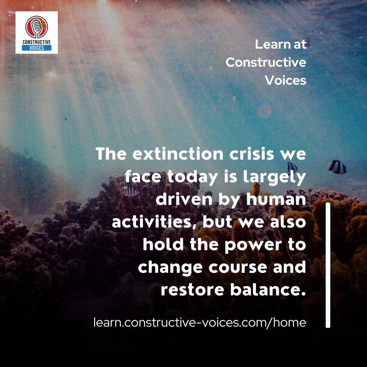 'The extinction crisis we face today is largely driven by human activities, but we also hold the power to change course and restore balance.' #biodiversity #biodiversitynetgain #training - learn.constructive-voices.com/home/