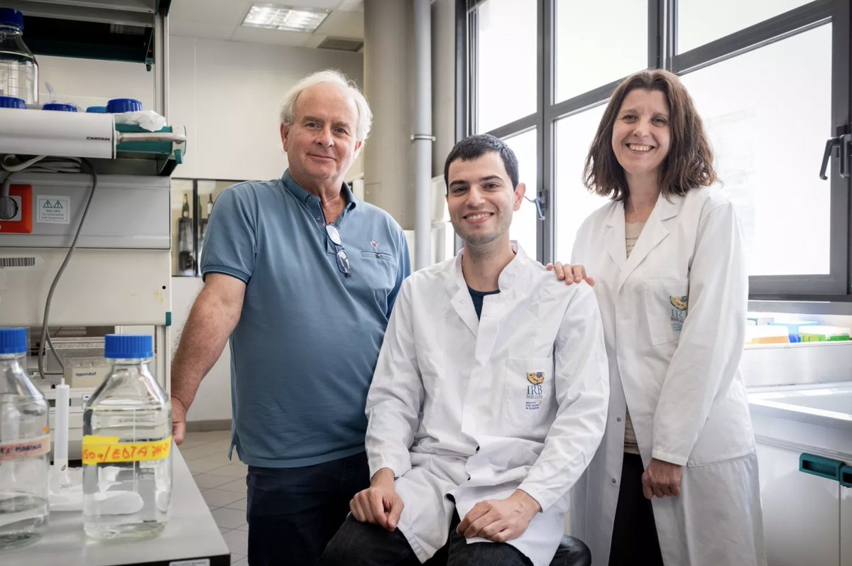 Researchers at @IRBBarcelona, @CNIOStopCancer, @UniBarcelona & @CIBERER observe the neuronal 'gate' for essential molecules in learning and memory. The work could facilitate drug design to treat neurological diseases. @NatureComms #BISTCommunity ➡️bist.eu/researchers-ob…