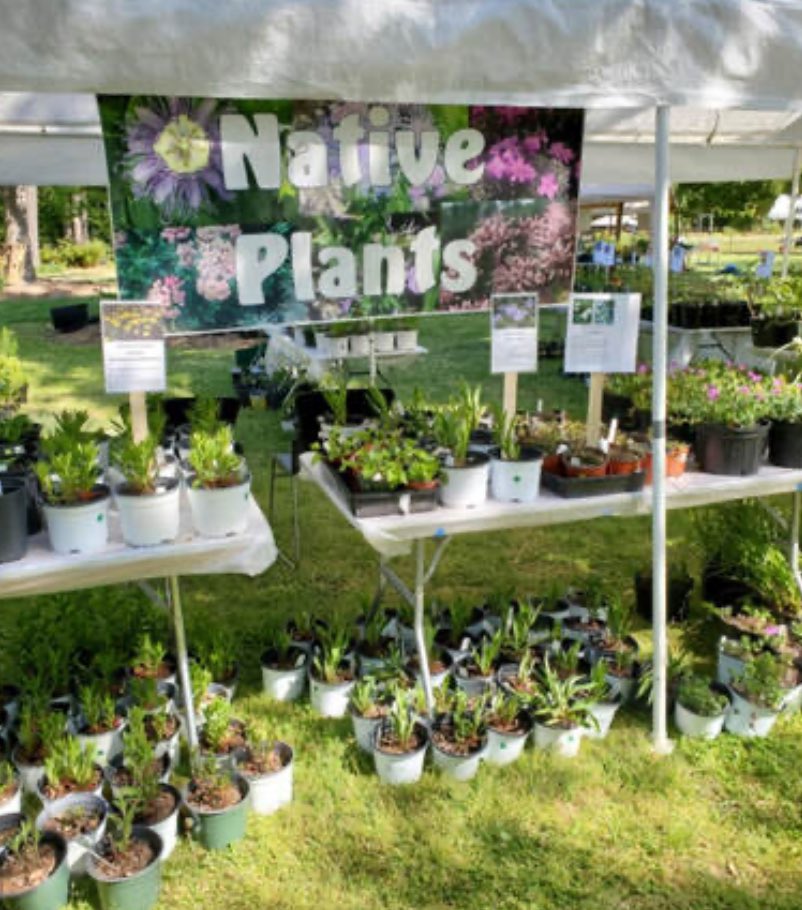 Love to plant natives? You’ll want to be at our plant sale, May 4 and 5. Info and updated plant list: vbmg.org/spring-plant-s…. #VABeach #GardeningX #NativePlants #MasterGardener