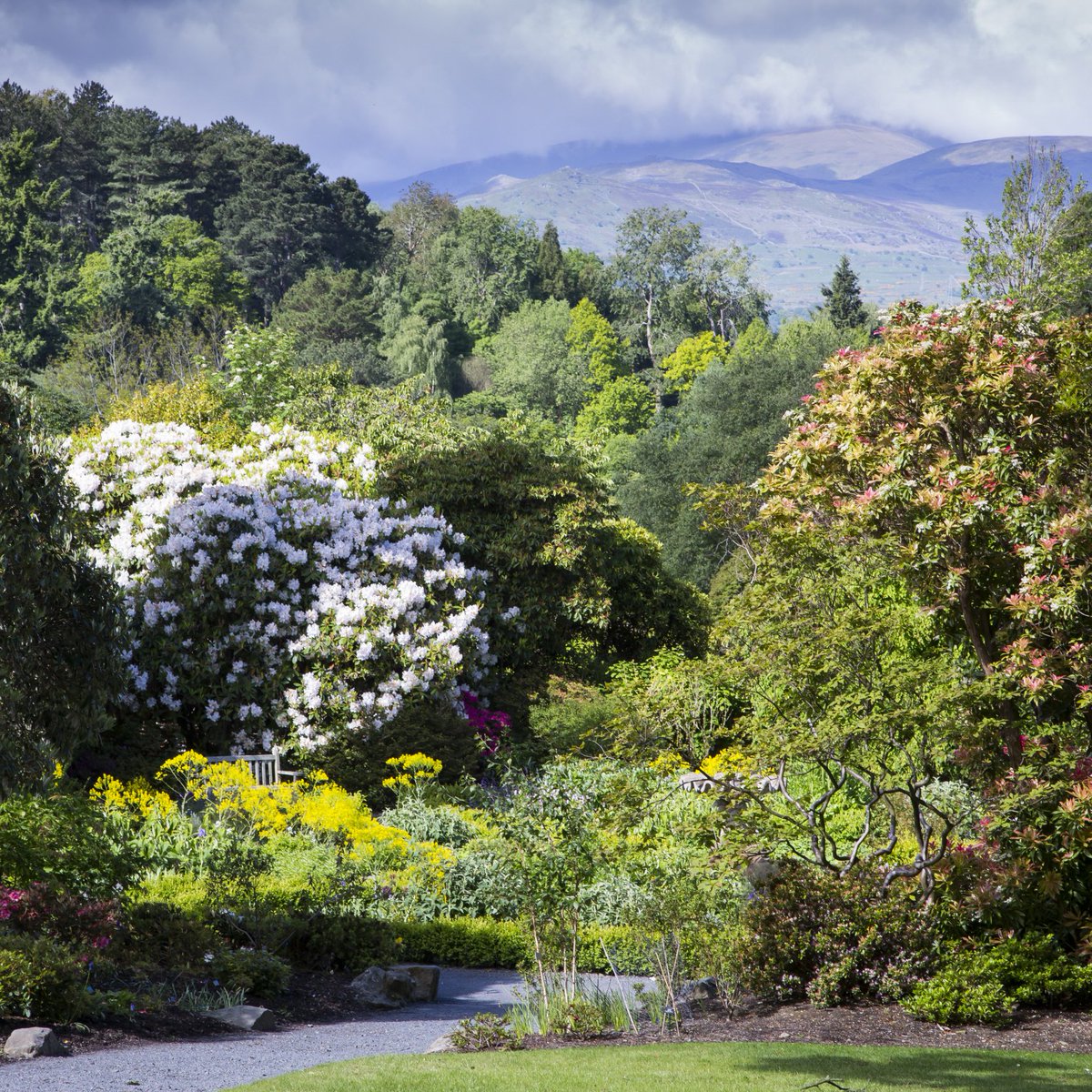 Bodnant Garden was forged by the vision of one man, Henry Davis Pochin. He bought the estate in 1874 and along with landscape designer Edward Milner, he transformed it into the world-renowned garden we see today. Find out more about @BodnantGardenNT here: bit.ly/2BW4nan