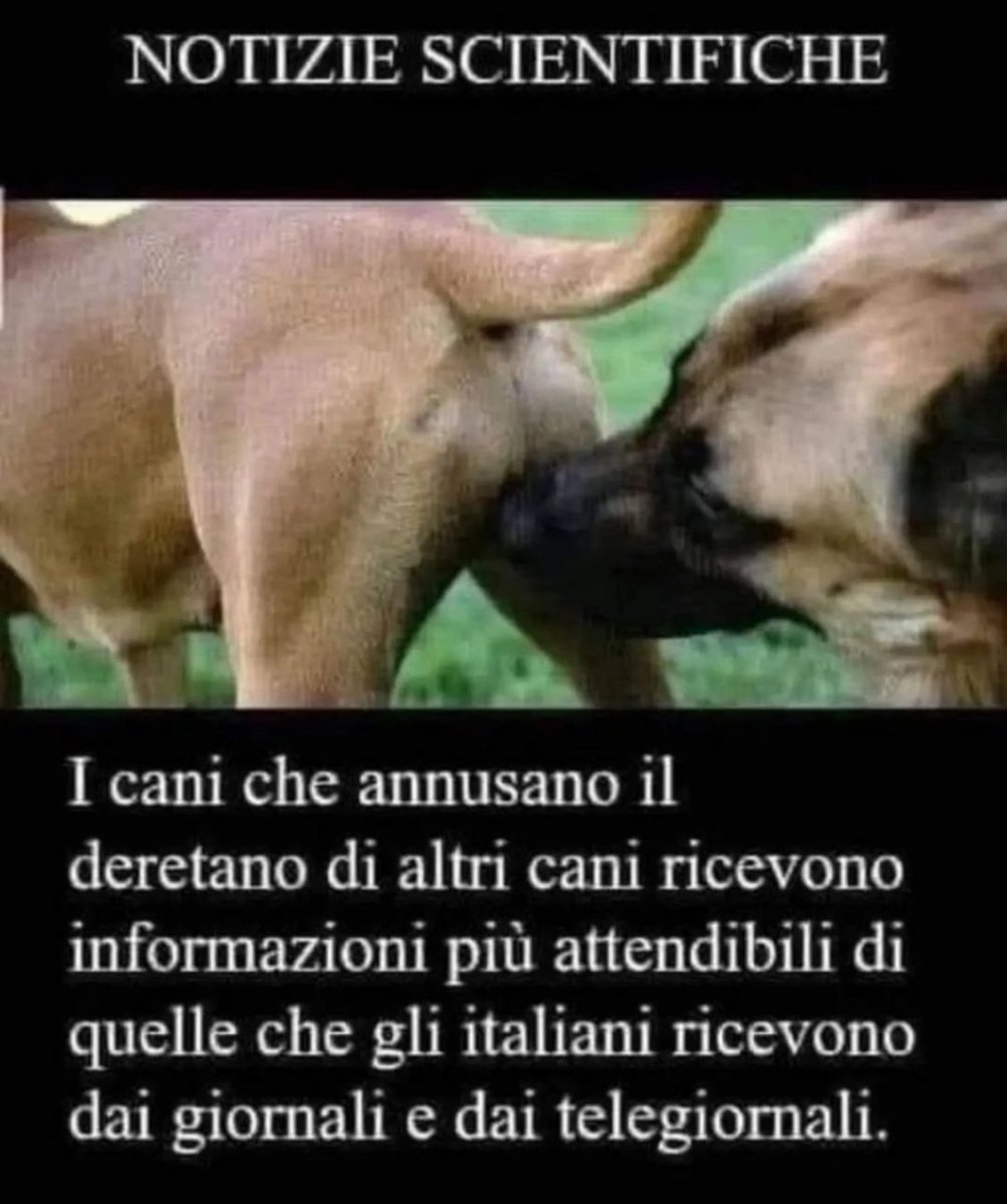 Ardito98731919's tweet photo. @LaStampa https://t.co/jQGqBINu3E