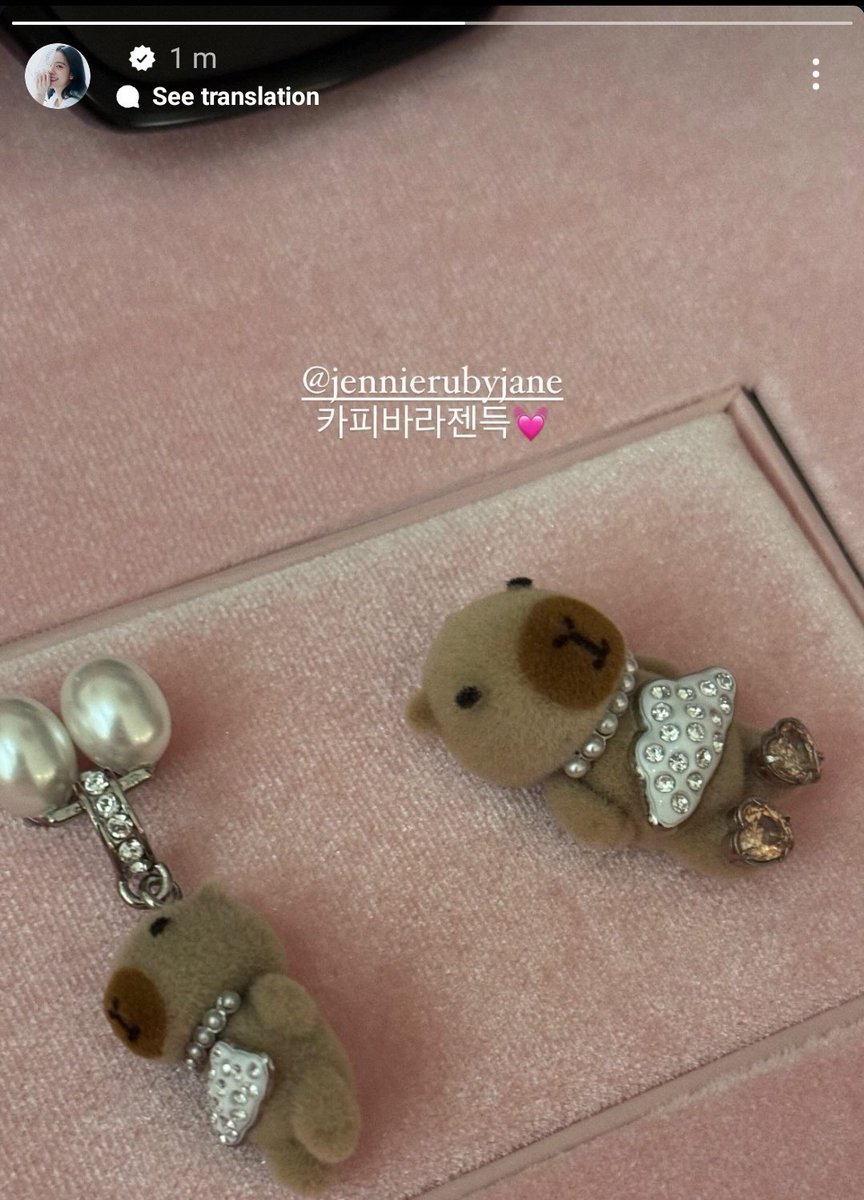 Jennienin capybara aşkıyla jisoonun hello kitty aşkı yarışır