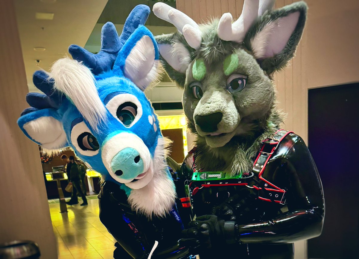 Your sleigh team has arrived! 🦌✨ #FursuitFriday 🦌 @LimeTheDeer