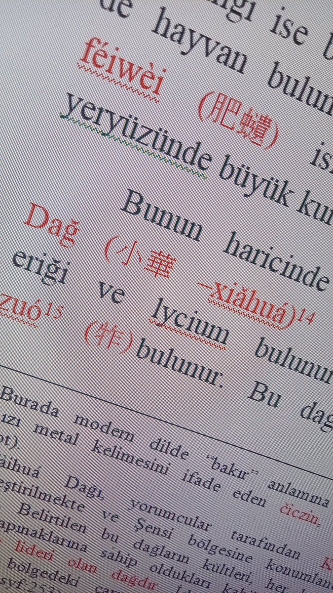 Şurada ilginç bir bilgi var. İzini sürmeye değer. Xiahua, bugünkü Şensi'de, Sarı Nehrin şarka doğru son büyük kıvrımı üzerinde devasa bir eyalet. Buralarda Qi seddleri var. Han devrinde Türkleri ötede beride görebileceğimiz araziler.