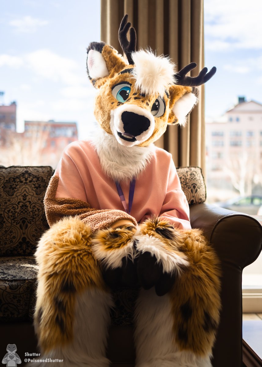 Found this cutie in the lobby at #FCL2024 and had to snag a photo. Happy #FursuitFriday 🦌🦌@tarubleat