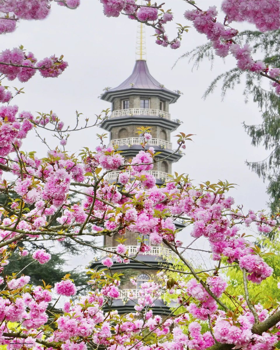 📍The Great Pagoda, Kew Gardens [📸 @withinlondon]  #LetsDoLondon #VisitLondon ow.ly/Rzn050Rj0wV