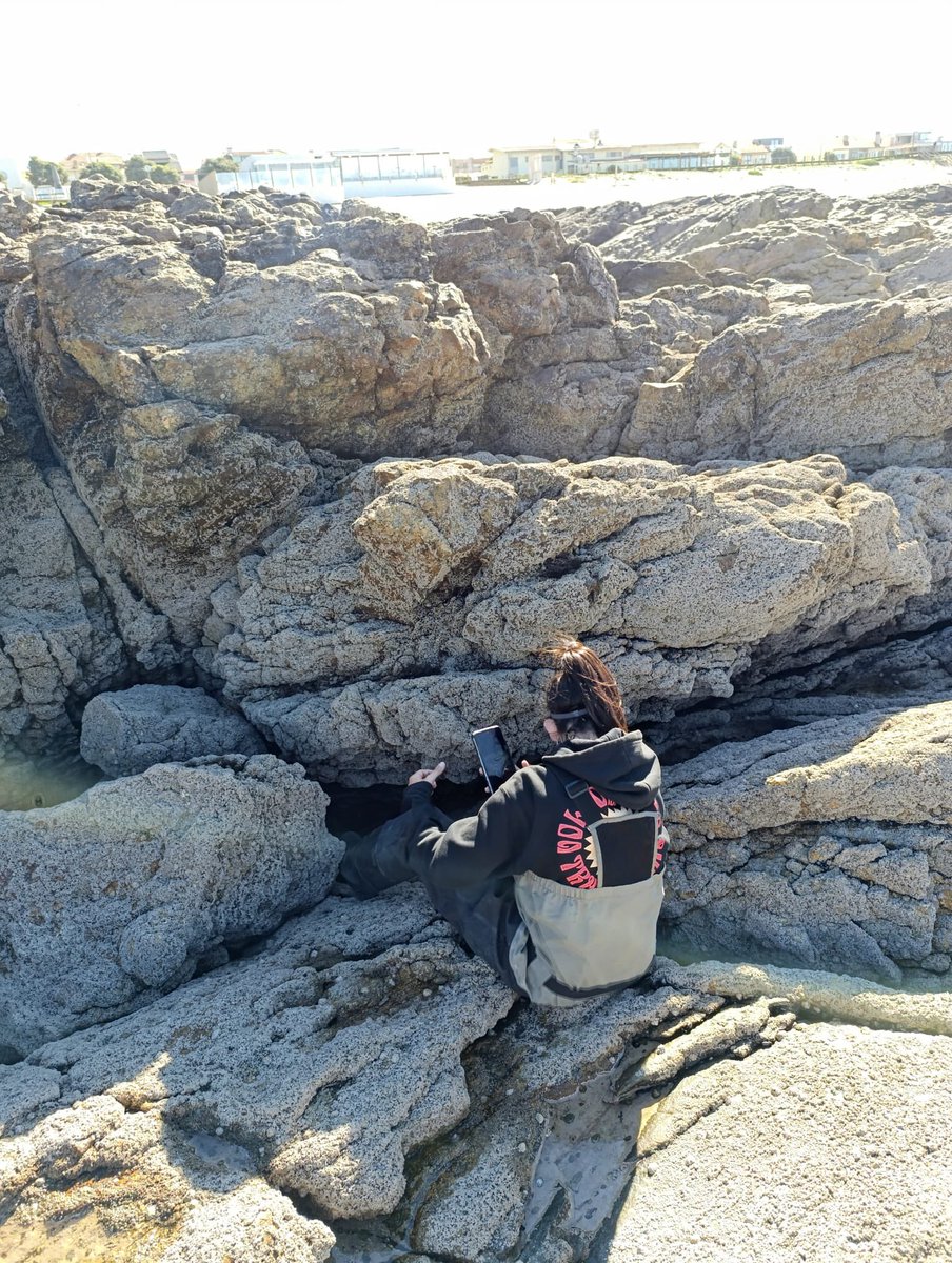 bioMARatona's tweet photo. Today we were taking pictures of an invasive species at #Angeiras 🌊🐚 getting ready to show you everything very soon. Stay tuned for our citizen science activities this summer 💪 @coastalwarming @MinkaSDG https://t.co/5ggpa7A5dQ