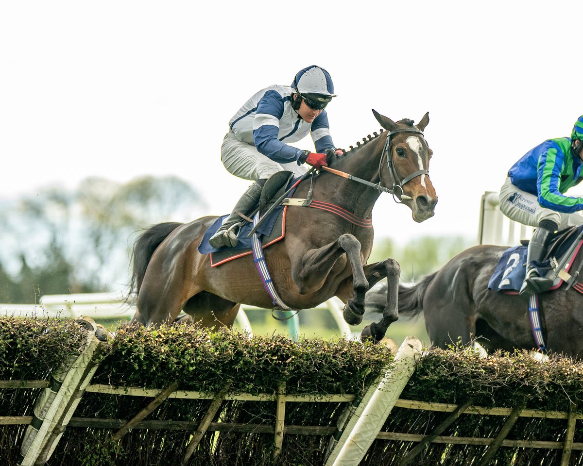 Race 6 Result - Best Odds Guaranteed At @Yeeehaaabet Mares' Novices' Limited Handicap Hurdle 🏆 Bethpage A double for jockey @tommy_bells and trainer @ELavelleracing Owner: Bonita Racing Club