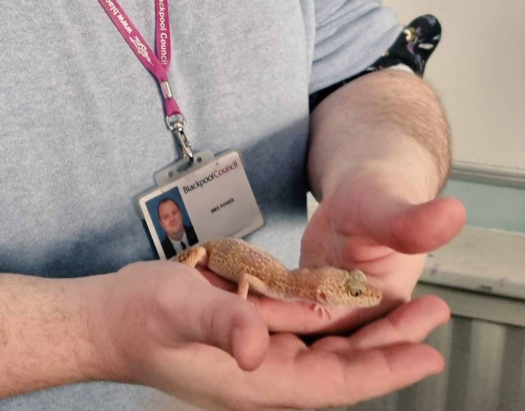 Year 10 lesson today took an unexpected turn with Bagel the gecko 🦎
#ThisIsAP #PRULife