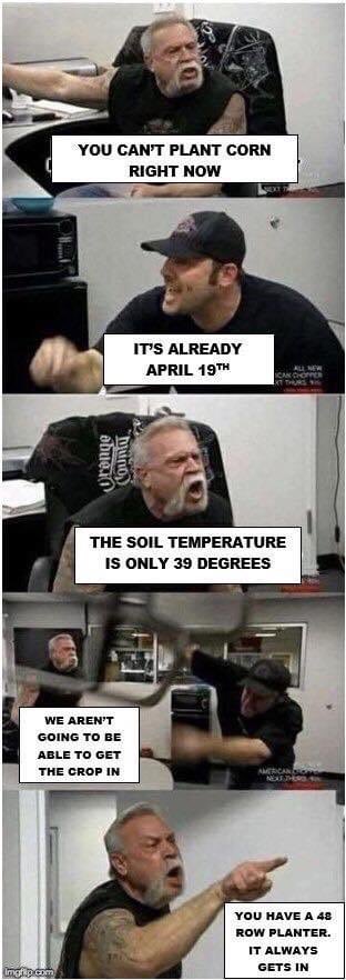 A yearly classic #plant24