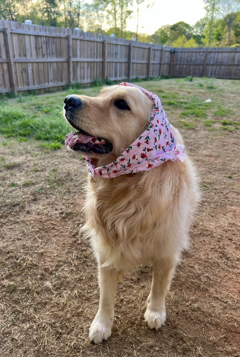 @lynn2wine Babushka! 🌸