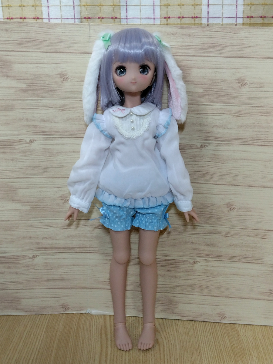 ドリームチョイス DDH DC-H-26 カスタムヘッド DDドリームチョイス