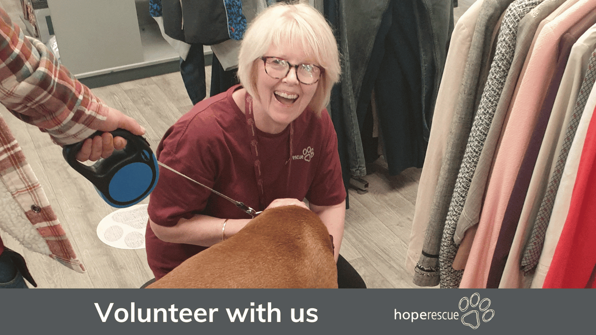 Join our amazing team of volunteers at our charity shop in Pontypridd. We’re looking for extra volunteers particularly on Tuesdays, Thursdays, and weekends. To find out more, pop in to our shop on Taff Street in Pontypridd, or visit our website 👉 hoperescue.org.uk/charity-shop-v…