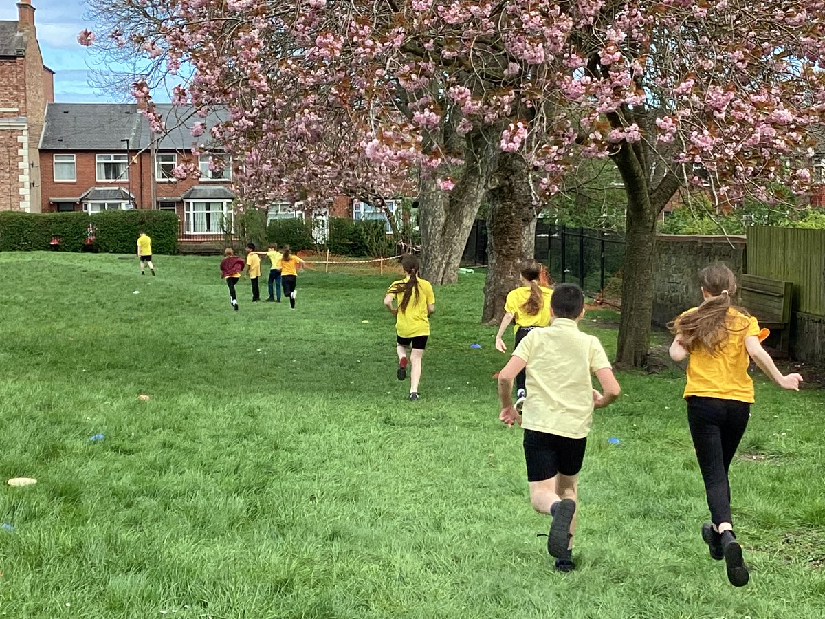 Spring Gardens Primary School tweet media