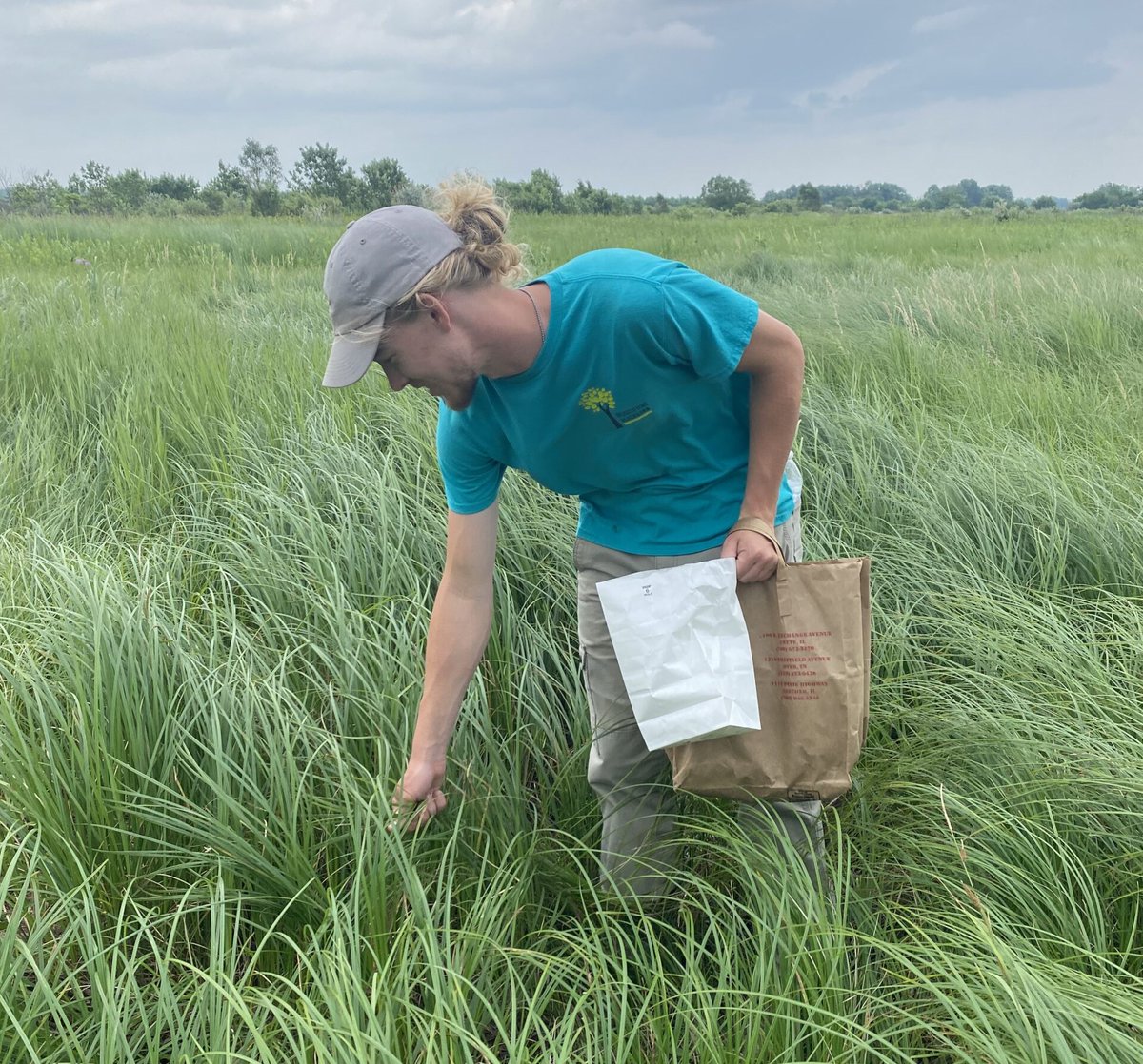 The Garden is now accepting applications for its #Conservation and Land Management Program! These internships focus on Native Seed Collection at National Forests and Grassland locations across the county. Learn more and apply: chgobg.org/3VW6jbz