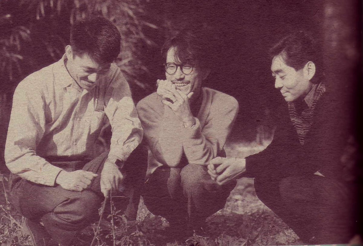 YMO