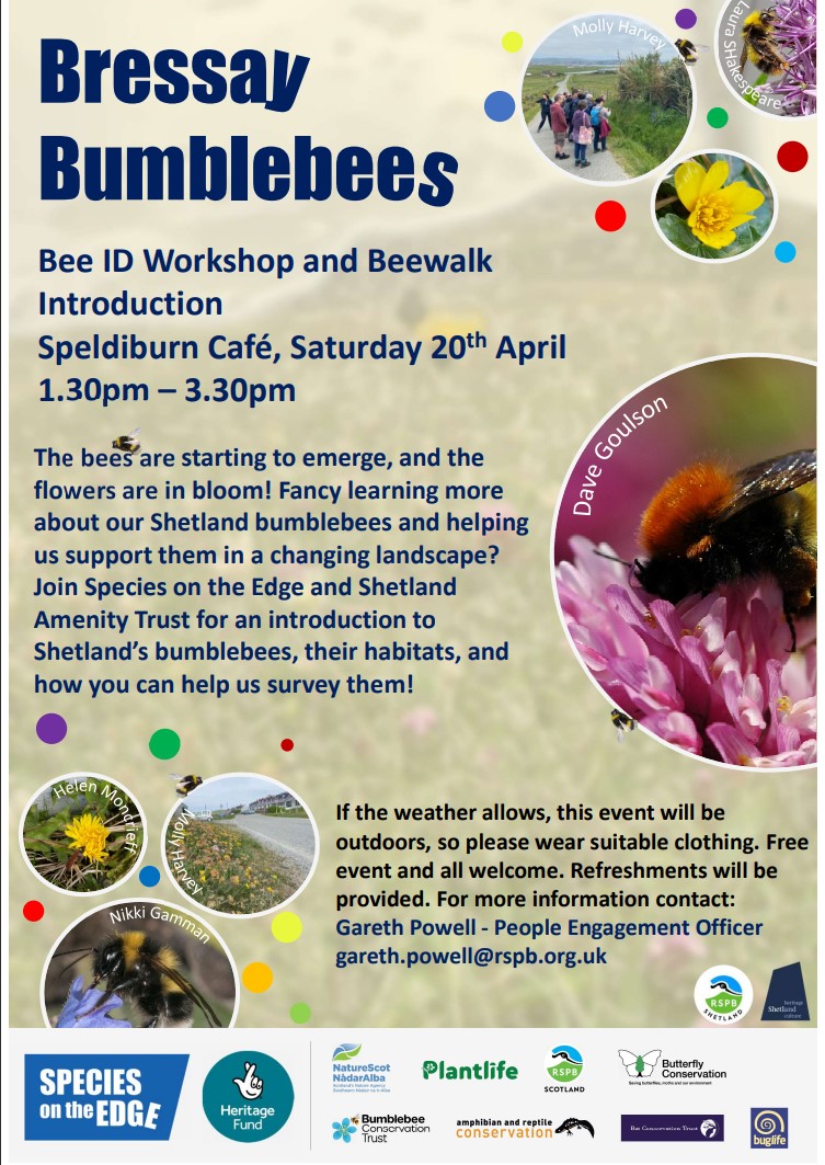 Are you joining us for our Bees of Bressay event??Today, 1:30pm, Speldiburn Cafe. Not from Shetland but keen to learn more about bumblebees near you? Get in touch! sote@nature.scot 🐝🐝🐝 @BumblebeeTrust @RSPBScotland