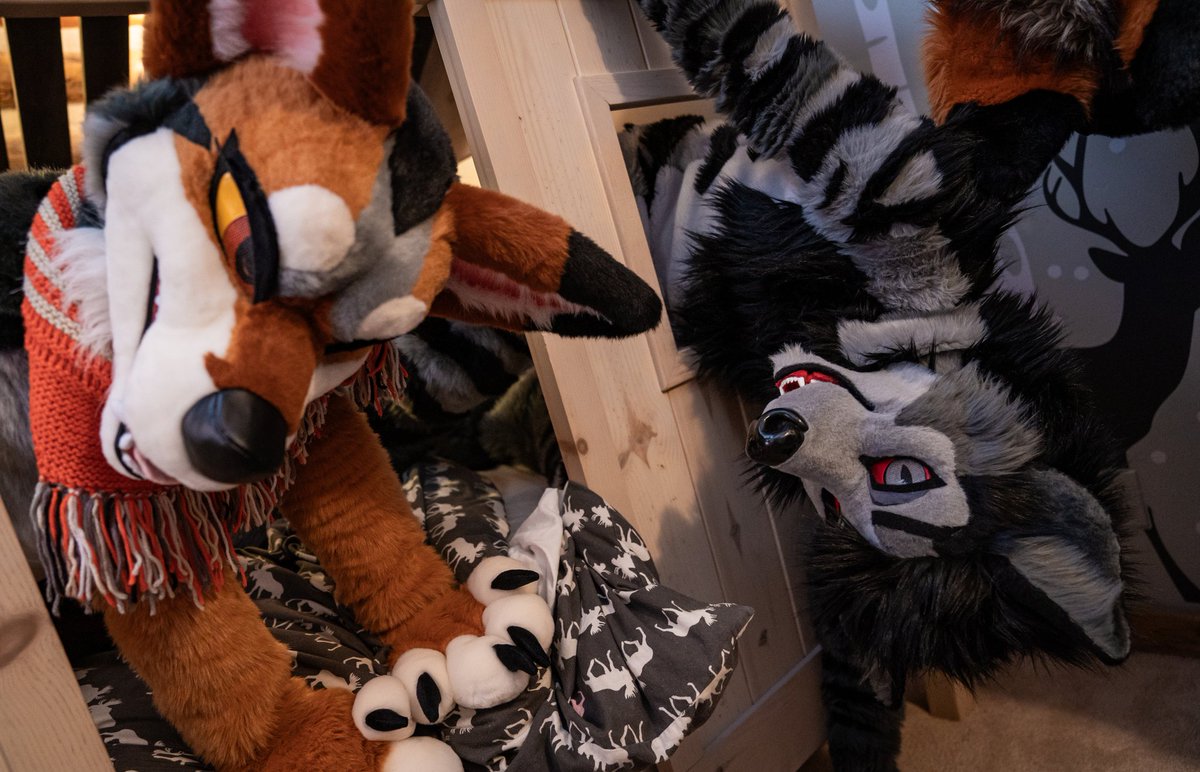 hades_warpig's tweet photo. You have to pay the toll to enter our dog house! 

#FursuitFriday 
📷:@StellarAntares https://t.co/kcxWpPEKke