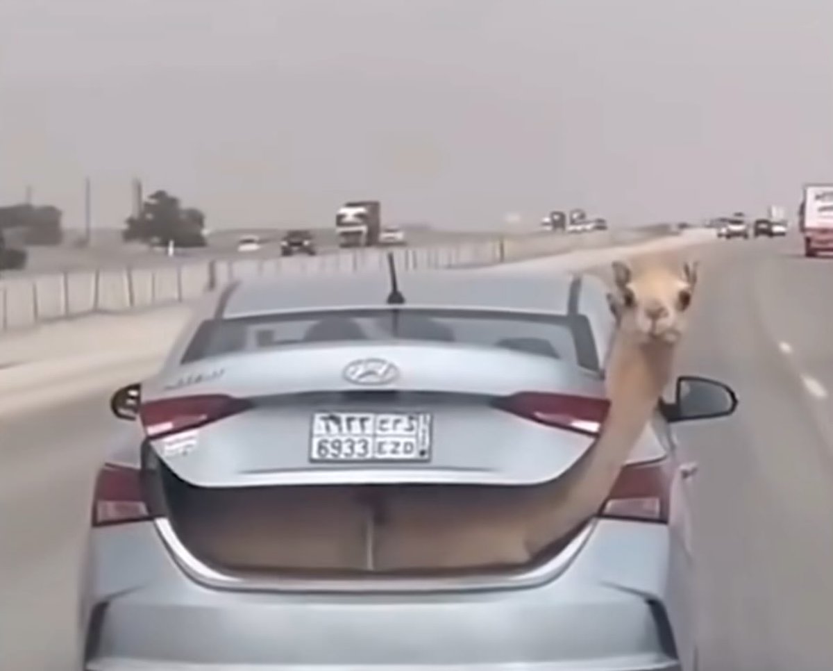 abhi1thakur's tweet photo. Me finetuning llama3 70b on google colab 🤣 https://t.co/6Hfb3e1aTO
