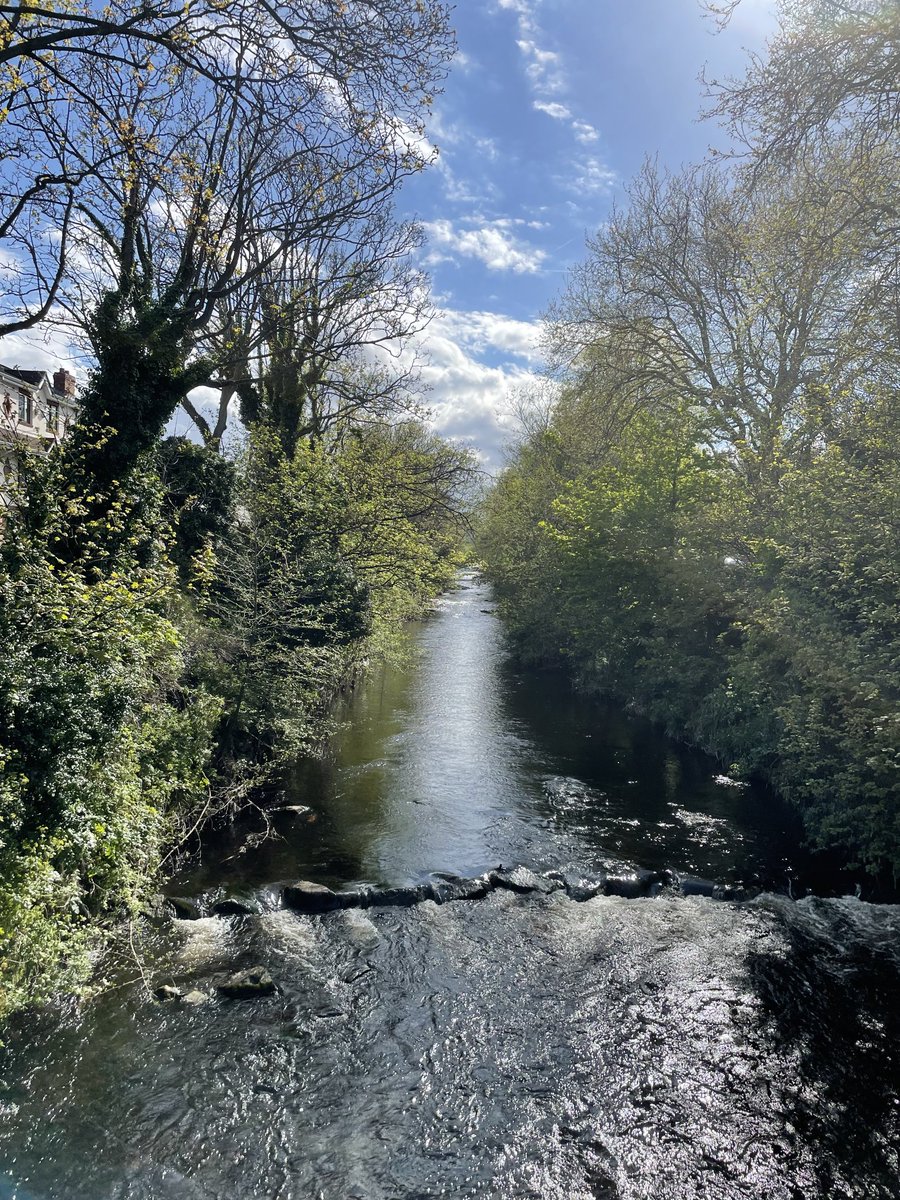 Grateful for the Friday afternoon sun on the beautiful #Dodder river - a winning combination. Bon vendredi et fin de semaine.