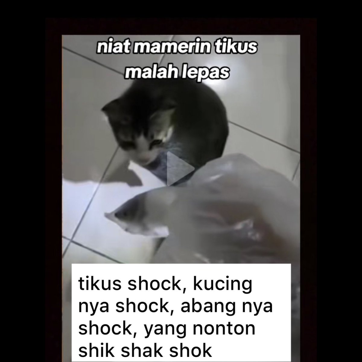 kasian tikusnya 😭

@SenderLabs