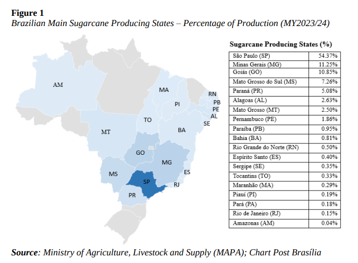FarmPolicy's tweet image. 1/ #Brazil’s #sugarcane fields performed exceptionally well in the marketing year April 2023 to March 2024, producing a record of 705 million metric tons. São Paulo was the largest #producing state in the country.

From the @USDAForeignAg: tinyurl.com/49jd46md