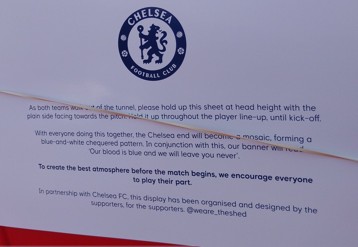 WE ARE THE SHED ⭐⭐ tweet media