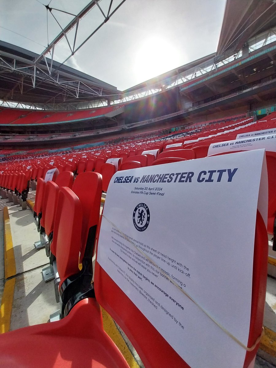 WE ARE THE SHED ⭐⭐ tweet media