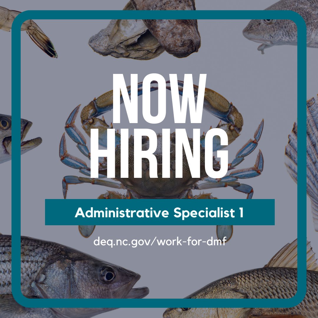 The Division is seeking a Research Vessel Captain, Shoreline Surveyor, and Administrative Specialist. Learn more and apply at link ➡ deq.nc.gov/work-for-dmf #work4nc #ncjobs #ncworks