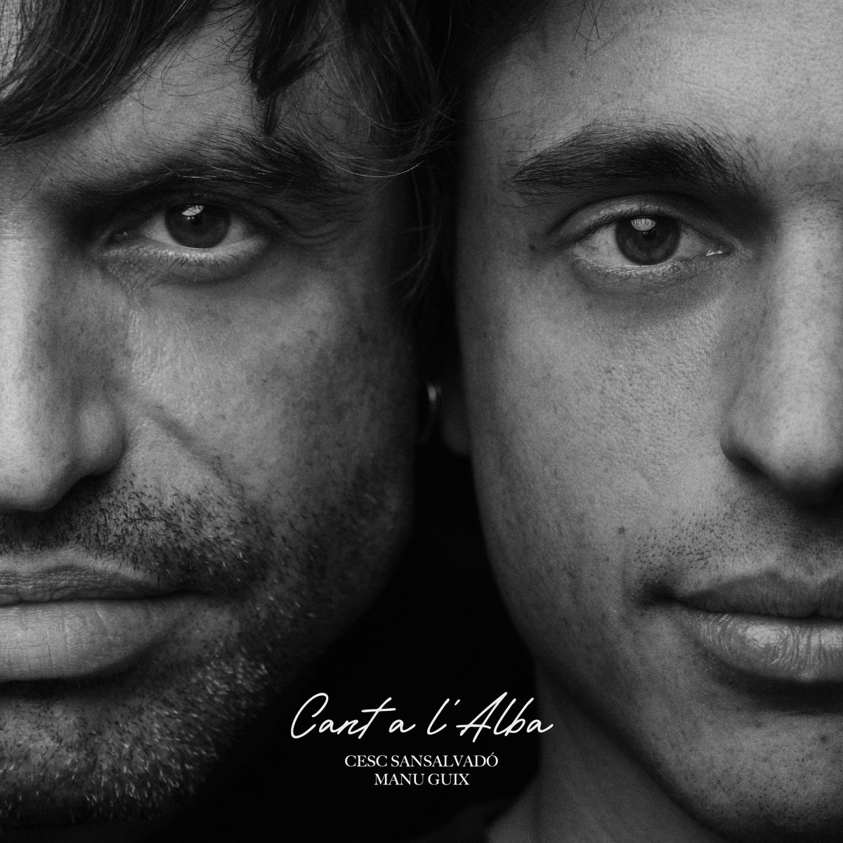 Ditto Music Español tweet media