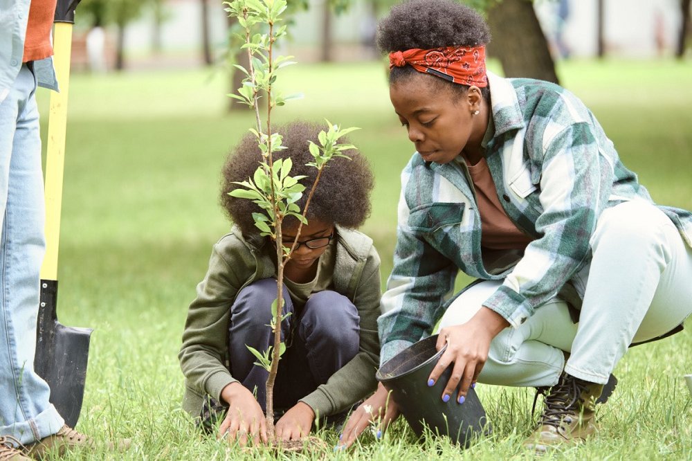 There's still time! Grab your FREE tree to celebrate #EarthMonth, compliments of our collaboration with @arborday! Enjoy energy efficiency, eco perks, and neighborhood charm. Reserve your tree now while supplies last: spr.ly/6186kS9fM