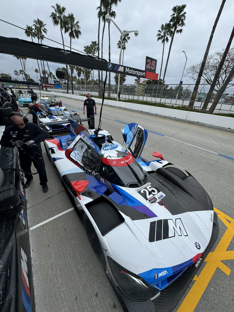 race cars 🤝 palm trees

@BMWMotorsport • @GPLongBeach