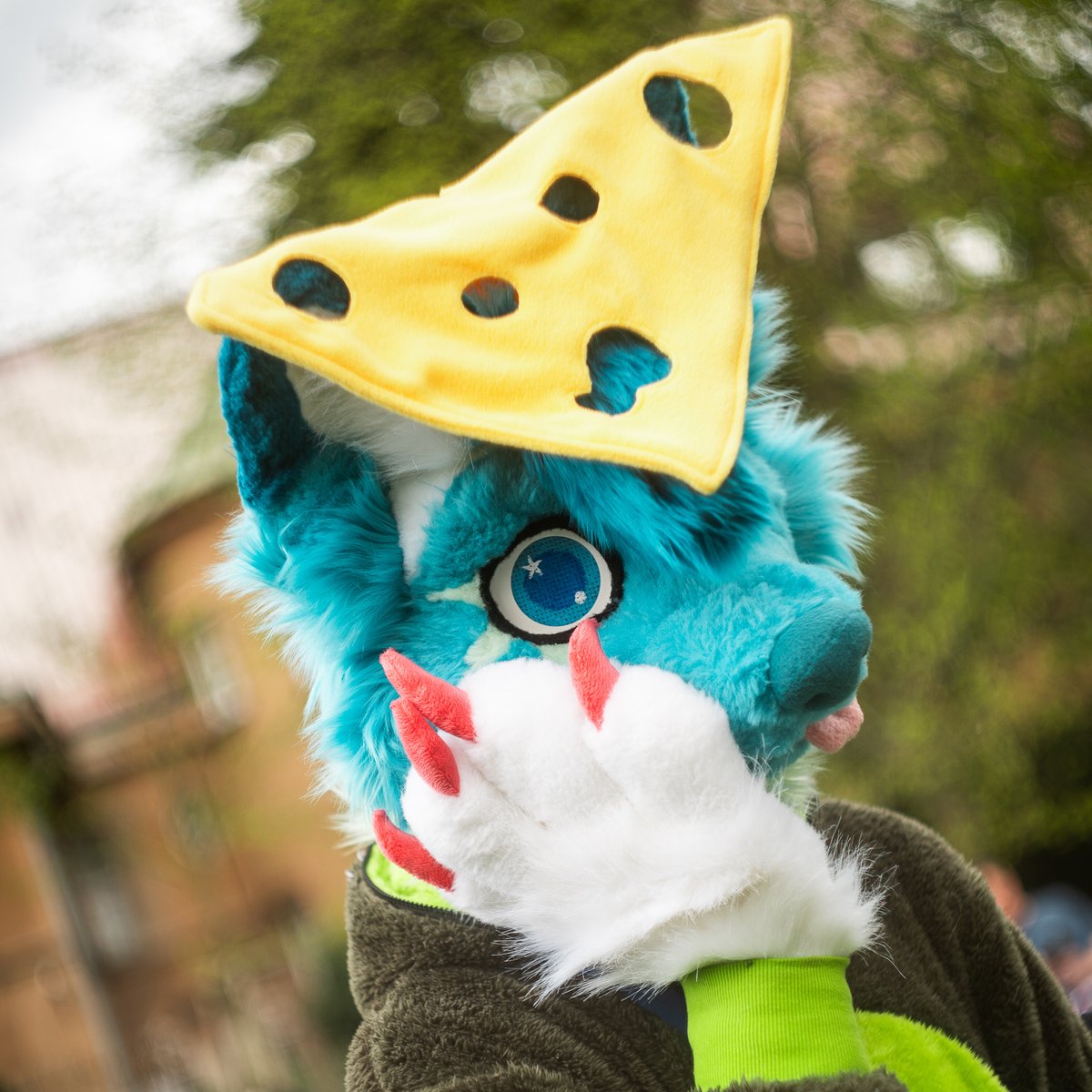 💙💚What a tasty husky😋Is there any one so hungry? 🌈💚💙
Its hufky🙈
📷 @cloniksphotos
🧵@Bambilijas
#happyfursuitfriday
#furry #furryfandom #furries #furrbaby #furry2023 #furry_irl #furrbabies #furrycommunity #furryfriends #furryfriend #furrsuit  #furryadoptable #furryhusky