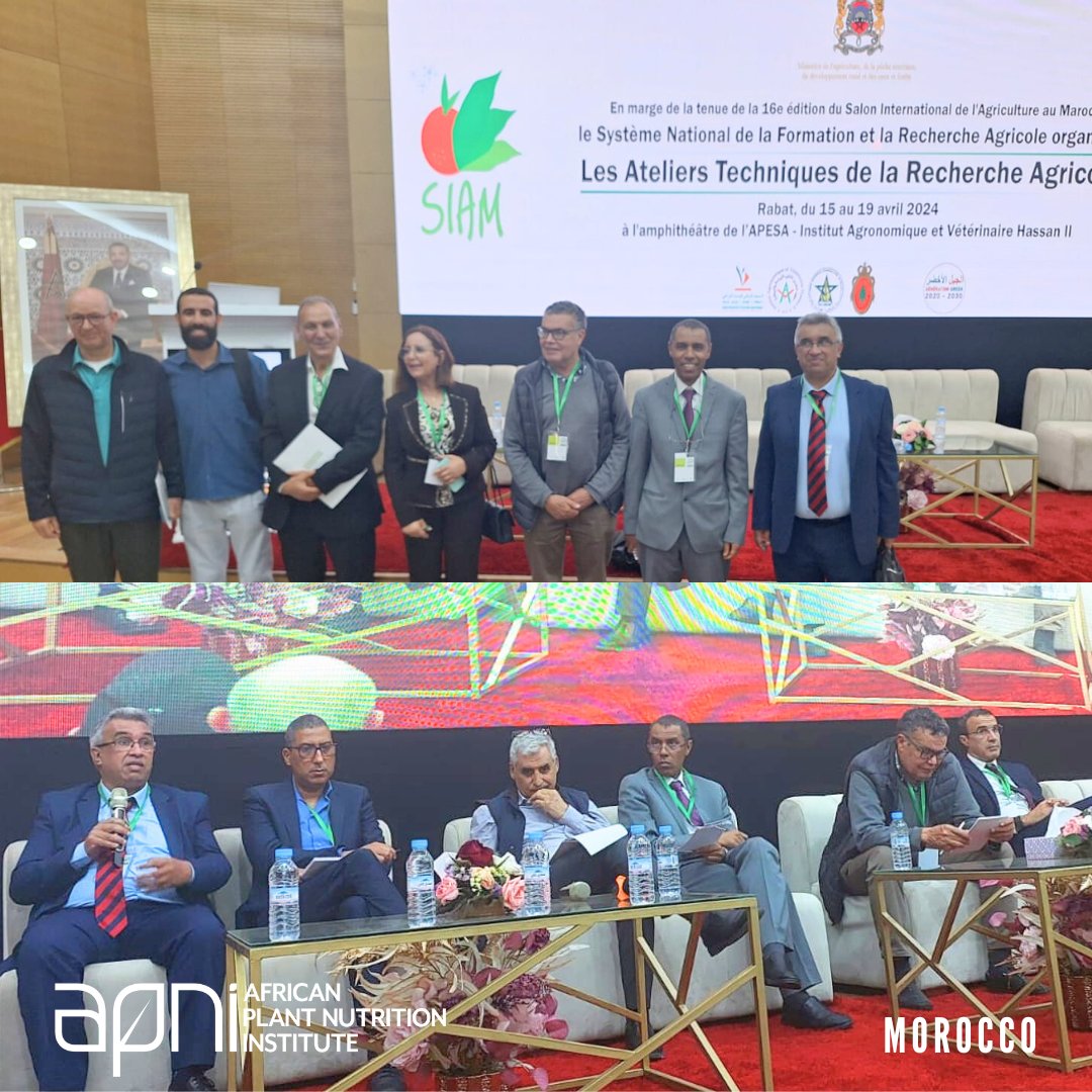 ☘️ During the 16th edition of the International Agricultural Fair in Morocco, Dr. Hakim Boulal represented APNI at the Technical Workshops on Agricultural Research hosted by the National System of Agricultural Training and Research. #siam2024 #Agriculture #Research #Morocco