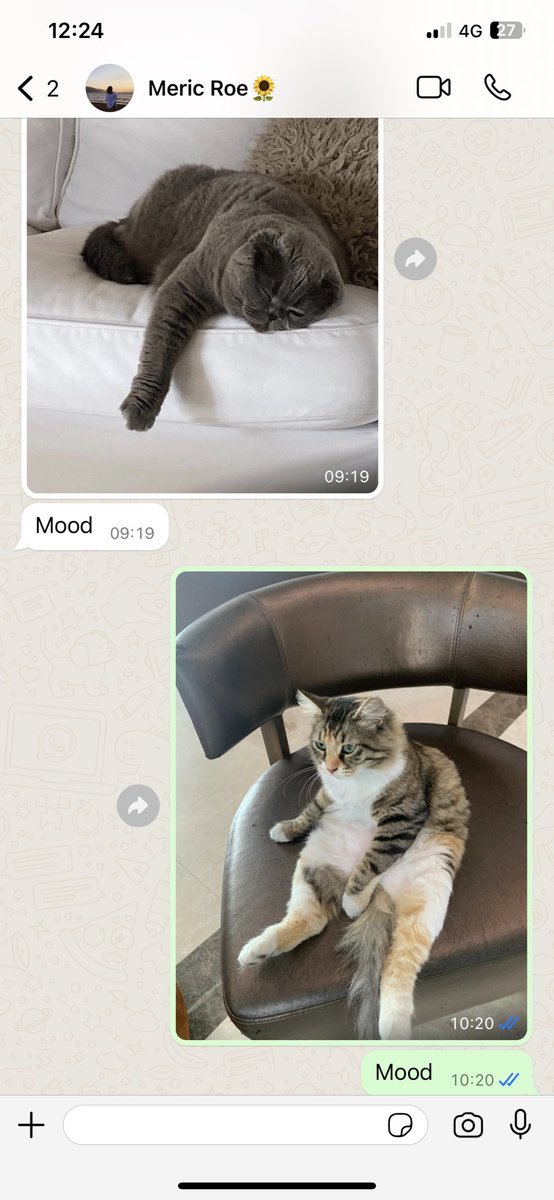 En yakın arkadaşınızla whatsapp konuşmalarınız ne ayarda bizim böyle